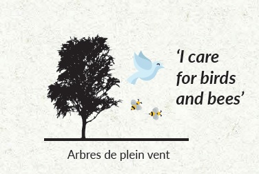 arbres-de-plein-vent