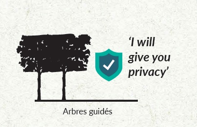 arbres-guides