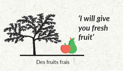 des-fruits-frais